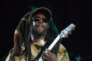 David Hines, Steel Pulse